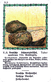 Spielkarte
