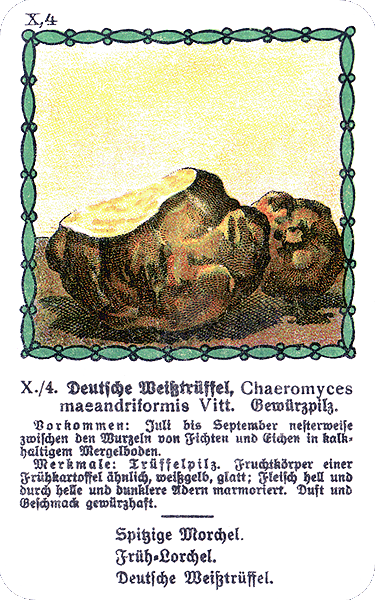 Spielkarte