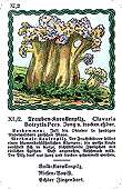 Spielkarte