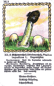 Spielkarte