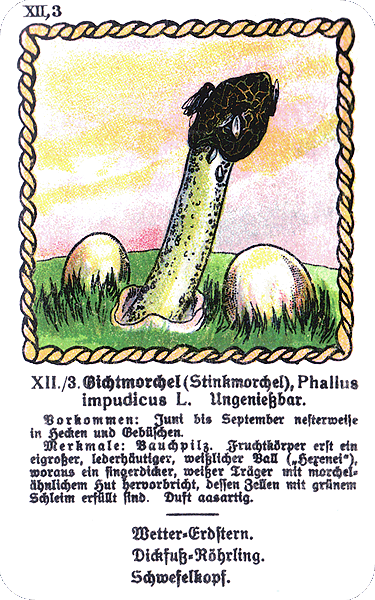 Spielkarte