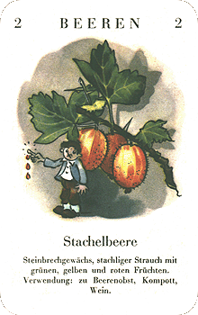 Spielkarte