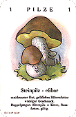Spielkarte