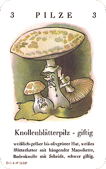 Spielkarte