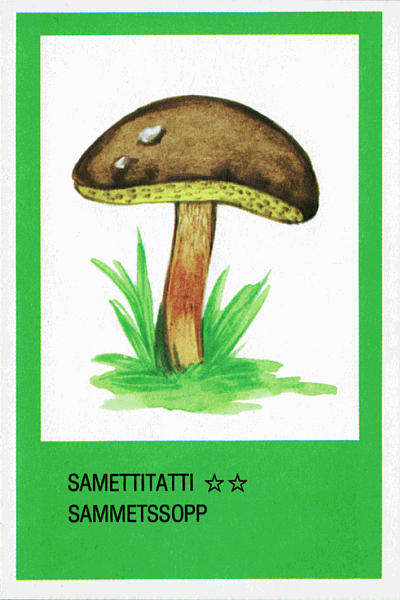 Spielkarte