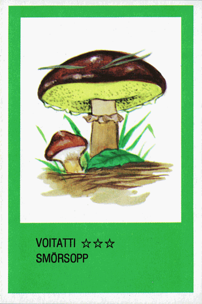 Spielkarte