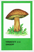 Spielkarte