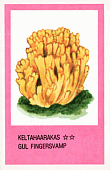 Spielkarte