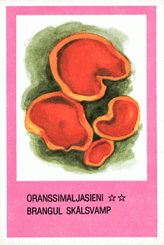 Spielkarte