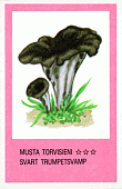 Spielkarte