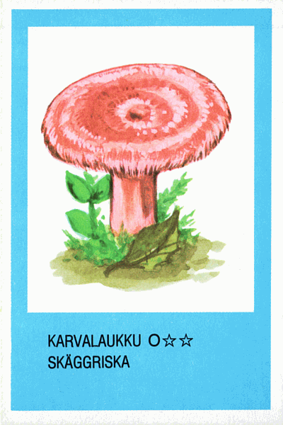 Spielkarte