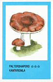 Spielkarte