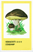 Spielkarte