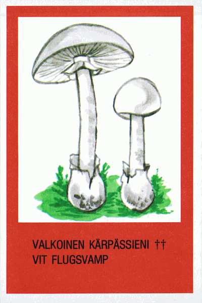 Spielkarte