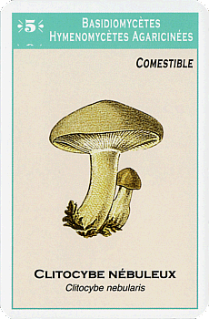 Spielkarte