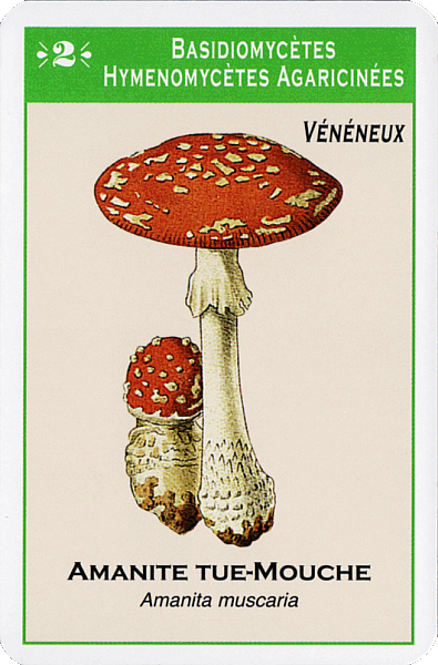Spielkarte