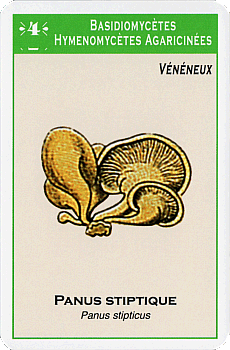 Spielkarte
