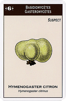 Spielkarte