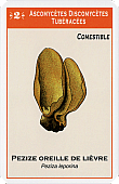 Spielkarte
