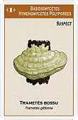 Spielkarte