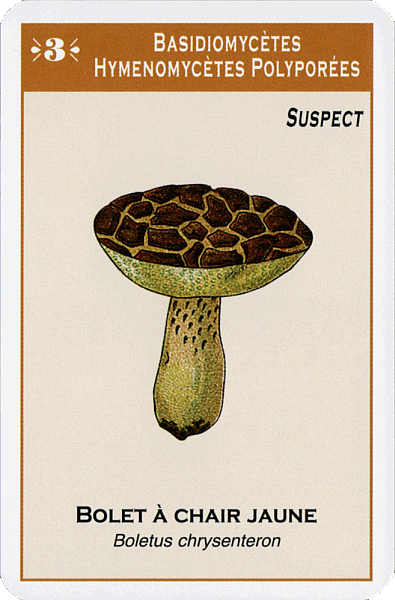 Spielkarte