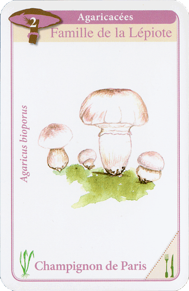 Spielkarte