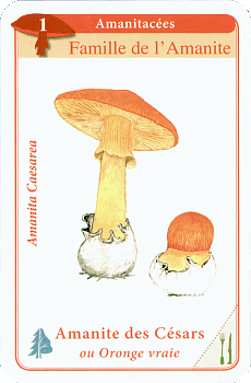Spielkarte