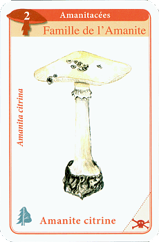Spielkarte
