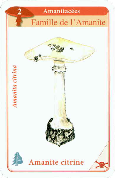 Spielkarte