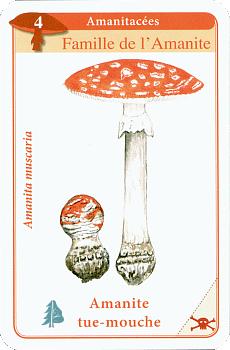 Spielkarte