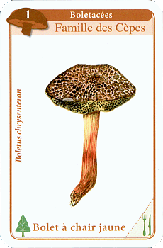Spielkarte