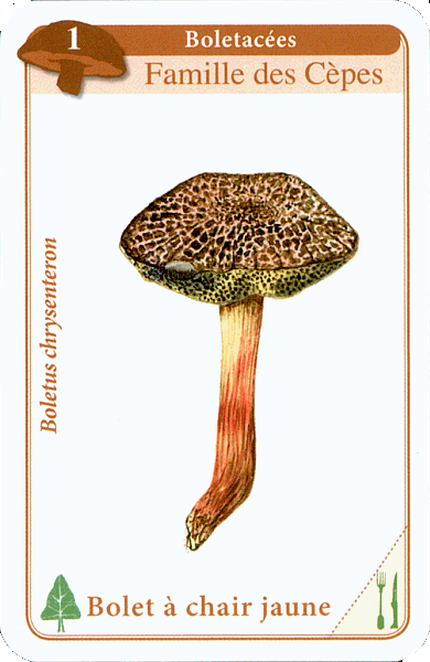 Spielkarte