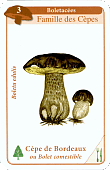 Spielkarte
