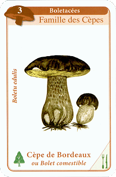 Spielkarte