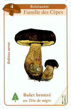 Spielkarte
