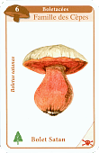 Spielkarte
