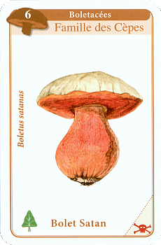 Spielkarte