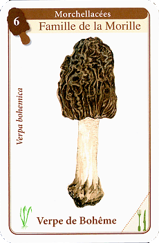 Spielkarte