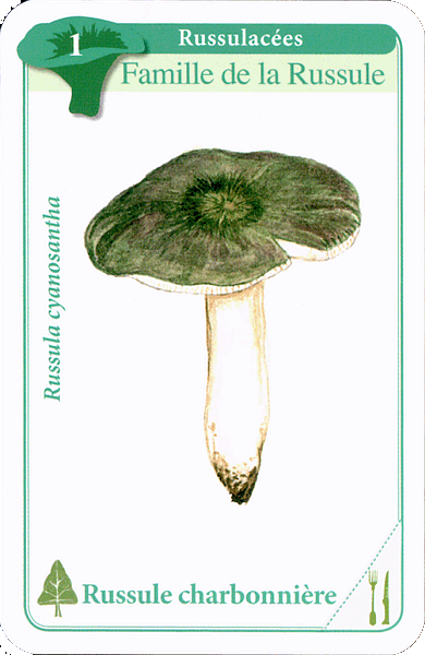 Spielkarte
