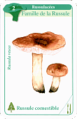 Spielkarte