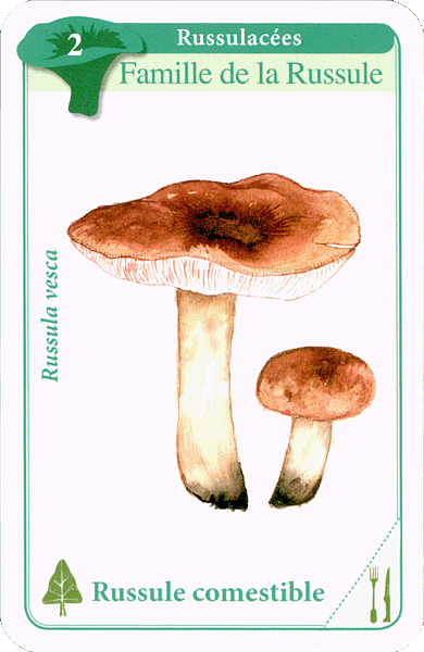 Spielkarte