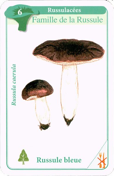 Spielkarte