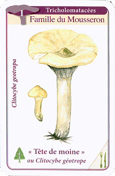 Spielkarte