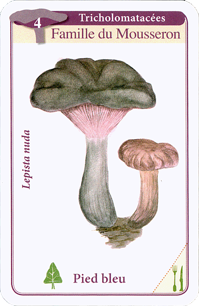 Spielkarte