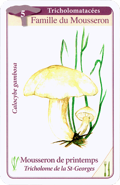 Spielkarte