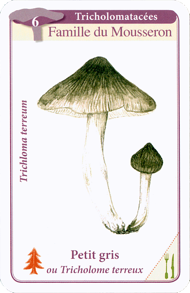 Spielkarte