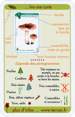 Informationen