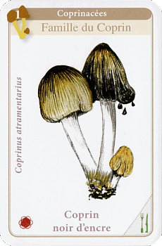 Spielkarte