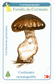 Spielkarte