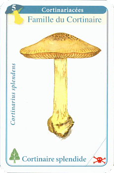 Spielkarte